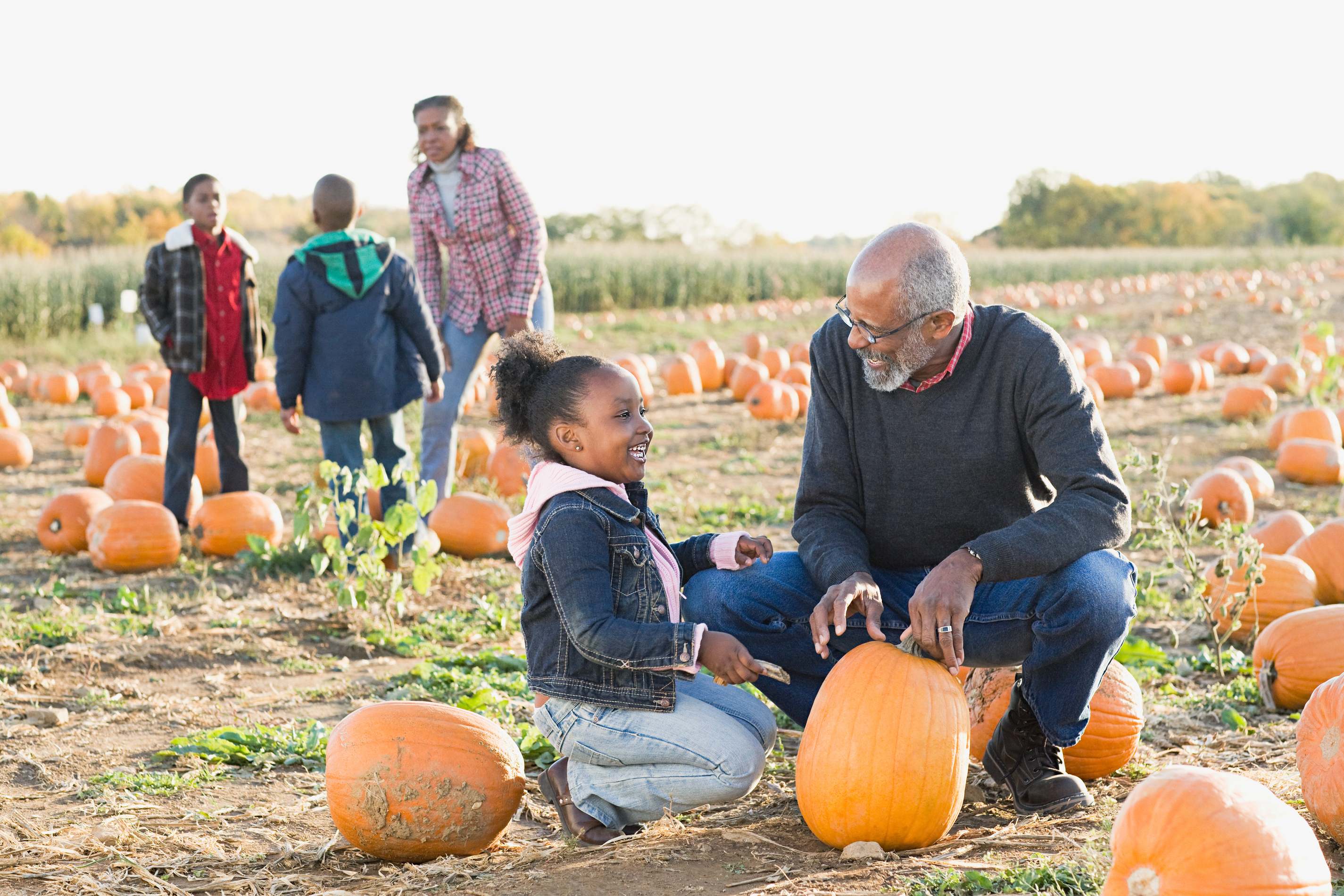 Family enjoying autumn day at pumpkin patch with grandfather and granddaughter