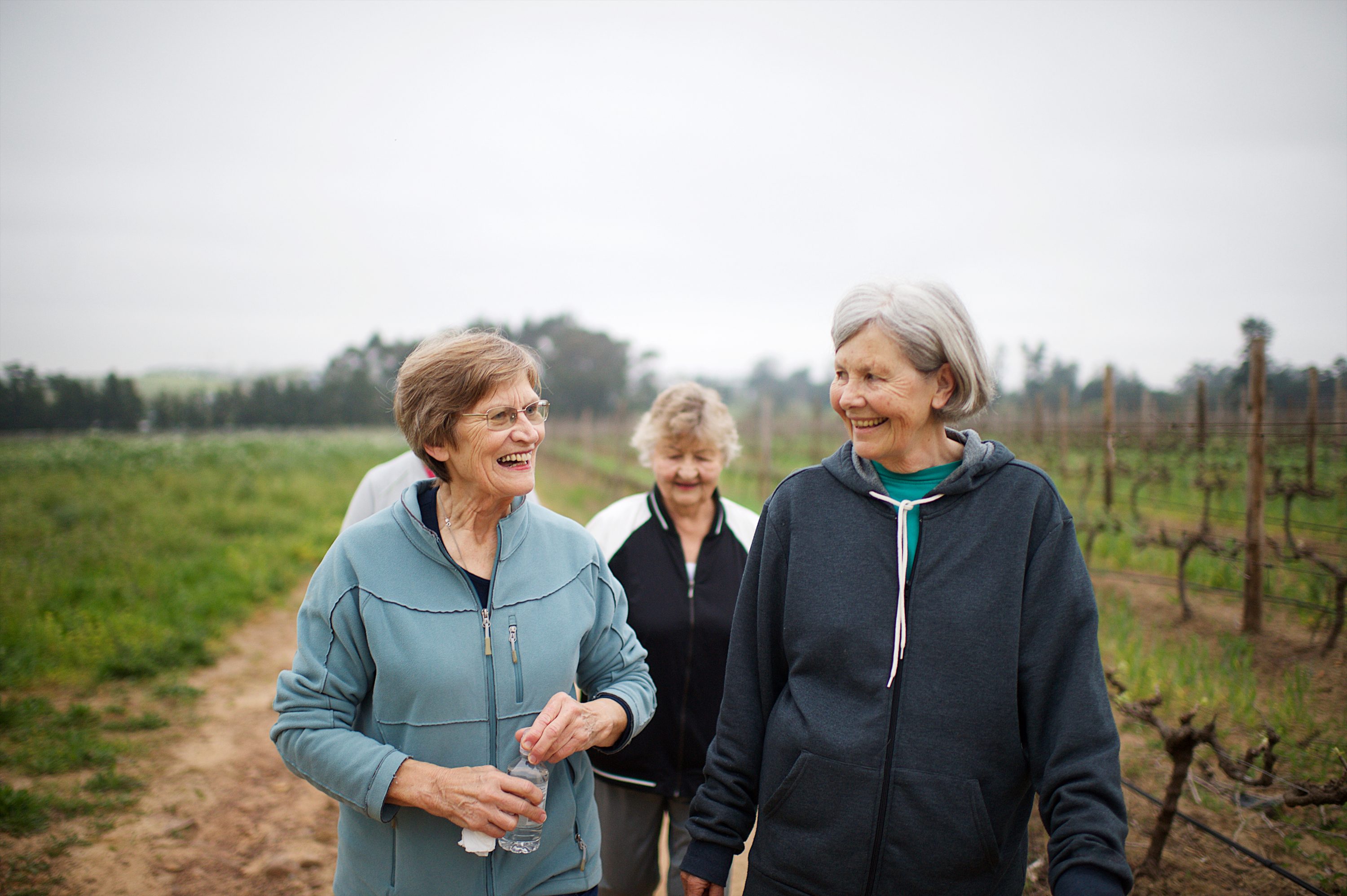 Three senior women walking and laughing together in a vineyard